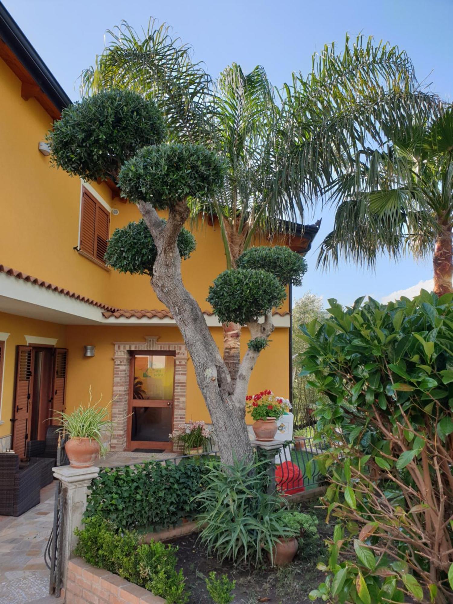 San Pietro Bed and Breakfast Mileto Buitenkant foto